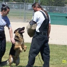 German Shepherds from Dukenheim Kennels