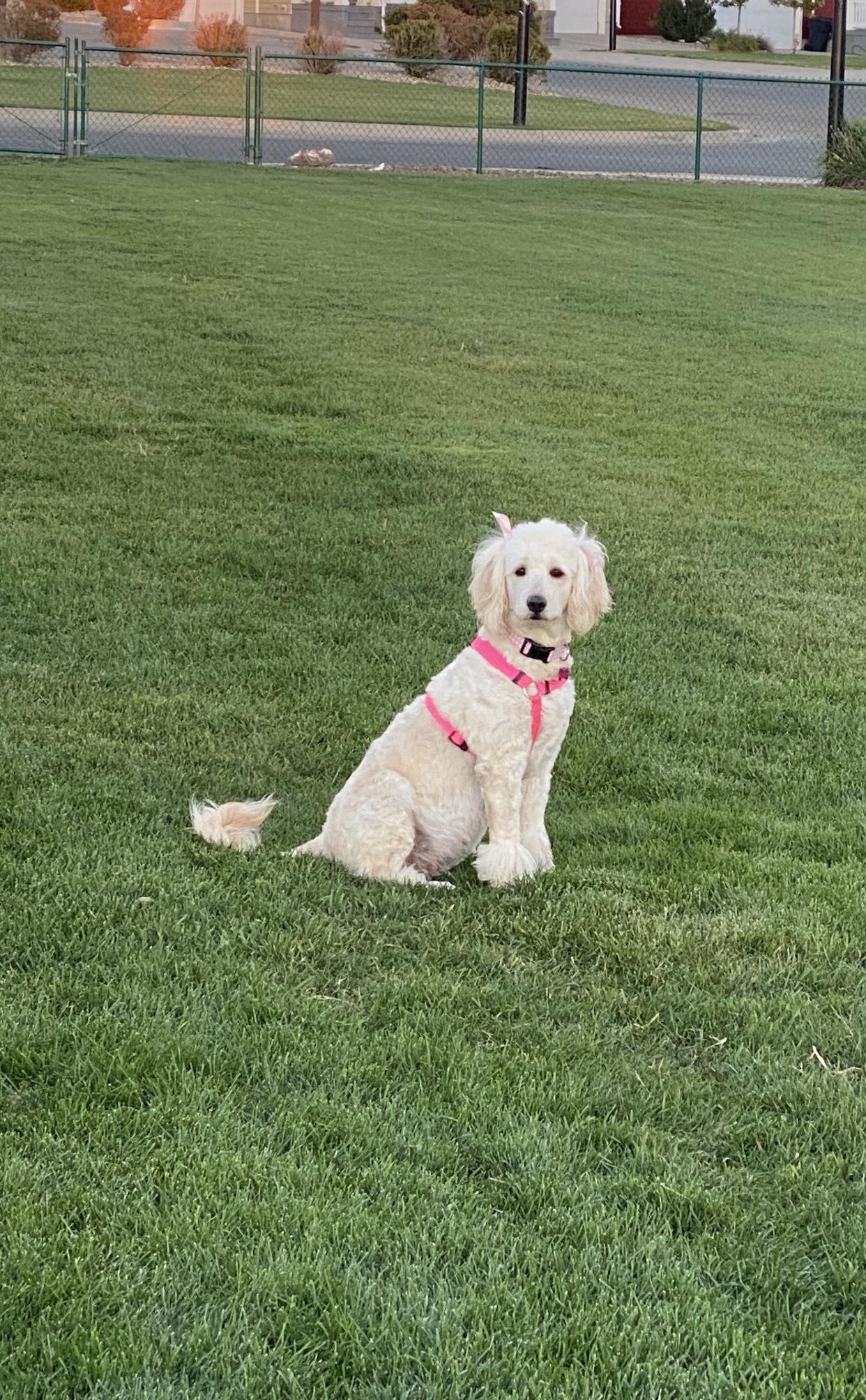 Ella