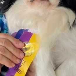 Japanese Chins from Tenchi Japanese Chin