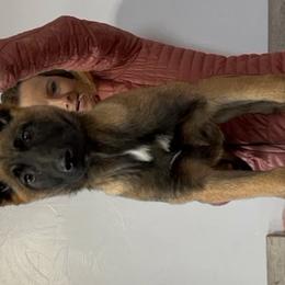 Girl 4 - Belgian Malinois puppy in Sublette, Kansas from Abby's Belgian Malinois