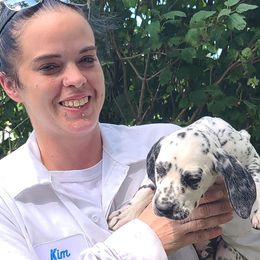 Boy 3 - White and black Dalmatian puppy in Sidney, Ohio from LUA Ohio Dalmatians