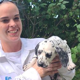 Boy 3 - White and black Dalmatian puppy in Sidney, Ohio from LUA Ohio Dalmatians