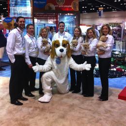 Labrador Retriever Puppies from Mythic Labradors, LLC