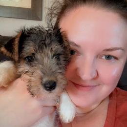 Darla - White black and tan female Wire Fox Terrier puppy in Ennis, Texas from Syrayed Farm