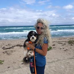 Aussiedoodle Puppies from Finney Ranch