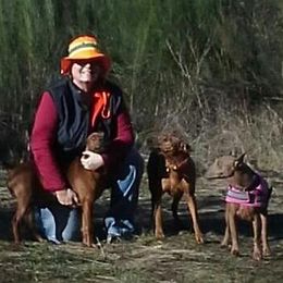 German Pinschers from RiverRAT Barn Hunt