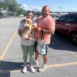 White Collar Girl - Apricot female Goldendoodle puppy in Knoxville, Tennessee from Niya’s Doodles
