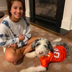 Bordoodle Puppies from Borders of Eby Eden