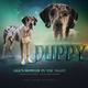 Duppy