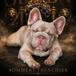 SIMBA - White and fawn male French Bulldog puppy in Miami, Oklahoma from Destiny Jones