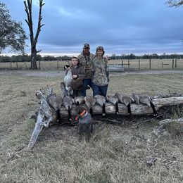Bailey - German Shorthaired Pointer
