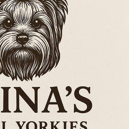 Yorkshire Terriers from Alina's Royal Yorkies