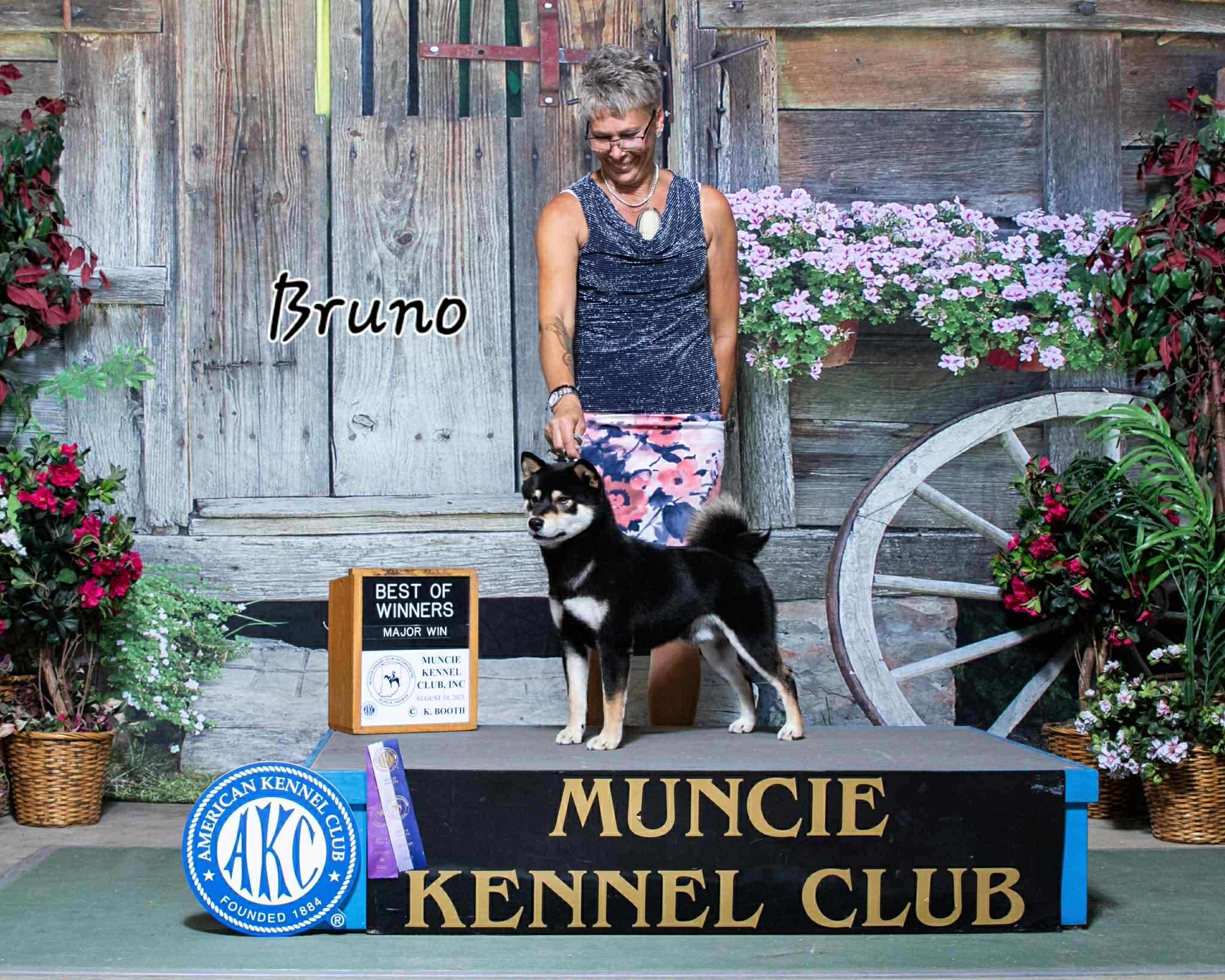 Ch Bruno