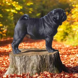 Disney - Pug
