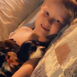 Dachshund and Miniature Australian Shepherd Puppies from Southern Charm Kennels