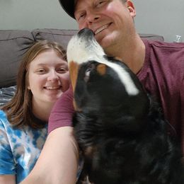 Bernese Mountain Dog Puppies from Lonesome Pine Farm