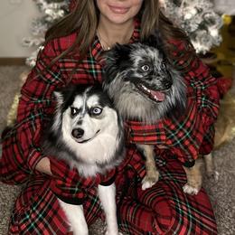 Pomskies from Midwest Pomskys