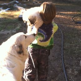 Great Pyrenees Puppies from Heritage Mountain Ranch