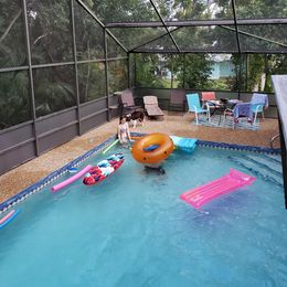 Bordoodle Puppies from 2J 2K Bordoodles