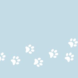 Goldendoodles from Golden Doodlebugs