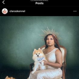 Pebbles - Pomeranian