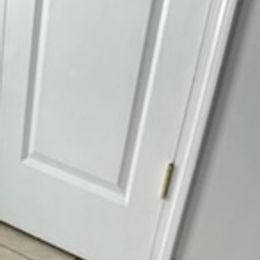 Golden Retrievers from P