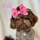 Lilli