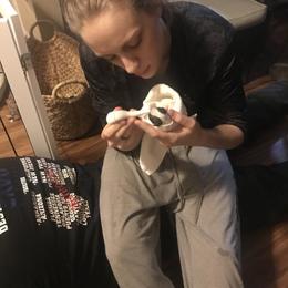 Shih Tzu Puppies from Willow Lane Shih Tzus