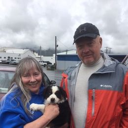 Australian Shepherd Puppies from Toni Thompson's Australian Shepherds