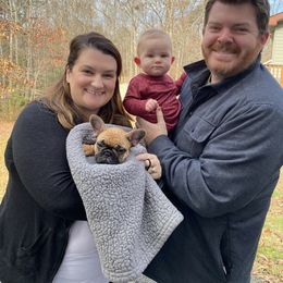 French Bulldog Puppies from Carter’s Kennel