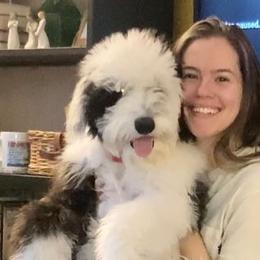 Bernedoodles, Goldendoodles, Golden Retrievers, Irish Doodles, and Poodles from Red String Farmstead