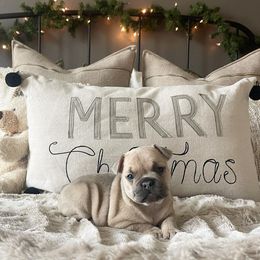 French Bulldog Puppies from Honey Bee Frenchies