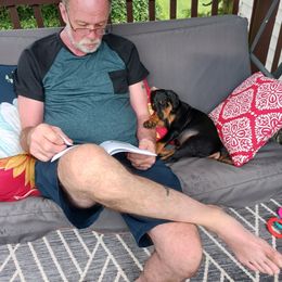 Doberman Pinscher Puppies from Ranchers Companion Doberman Kennel