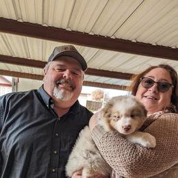 Australian Shepherd Puppies from Firelight Australian Shepherds