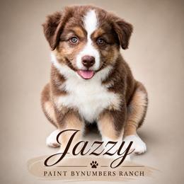 Jazzy - Red tri-color female Australian Shepherd puppy in Magee, Mississippi from Paint ByNumbers Ranch
