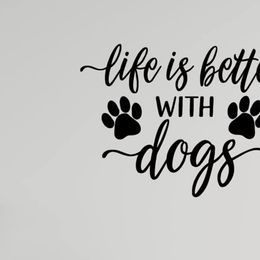 Mismark Bluie - Blue female Pembroke Welsh Corgi puppy in Nashville, Arkansas from Whisenhunt Farms