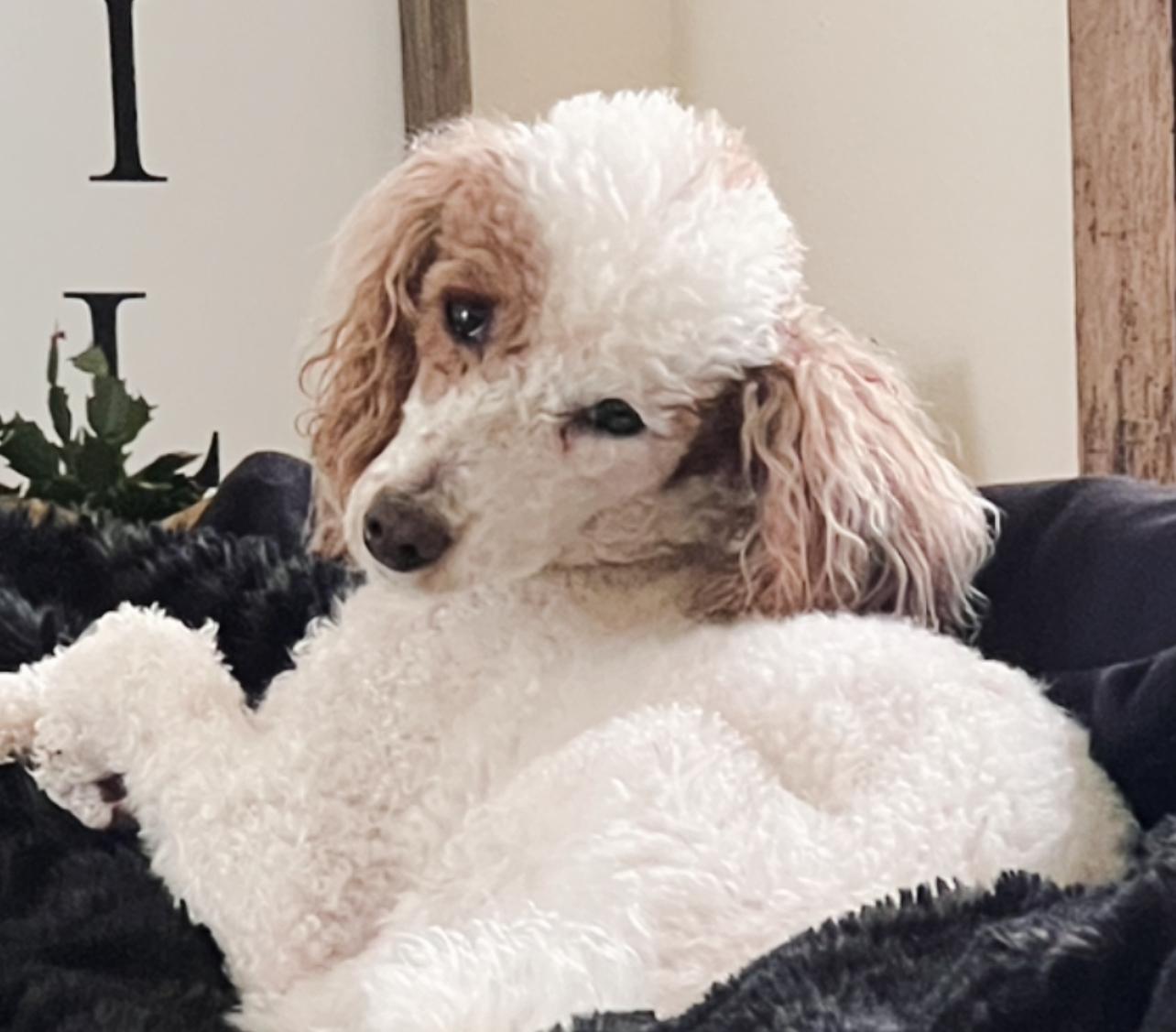 Unnamed