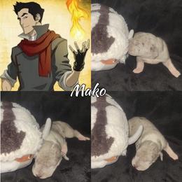 Mako - Mantle merle male Great Dane puppy in Pollock, Louisiana from Danes Done Right