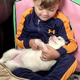 Siberian Husky Puppies from Pride Rock Siberians