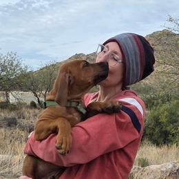 Isaiah - Red wheaten male Rhodesian Ridgeback puppy in Vail, Arizona from Malibak Rhodesians