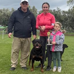 Rosie - Rottweiler