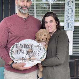 Golden Aussiedoodle and Goldendoodle Puppies from Law Doodles of SC