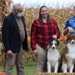 Australian Shepherds from Bodacious Australian Shepherds