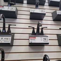 Miniature Schnauzers from Schnauzer Snobs