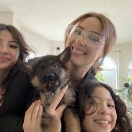 German Shepherd Puppies from Von Gonzalez Kennel