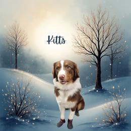 Kitts-Service Dog in Training - Red tri-color male Australian Shepherd puppy in Pittsville, Wisconsin from Match Dot Pup