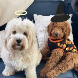 Goldendoodle Puppies from Newport Doodles