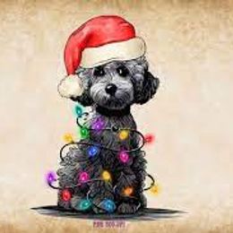 Cockapoo, Double Doodle, Goldendoodle, Poodle, and Shihpoo All Grown Up from Peace, Love, and Puppies at the Creek