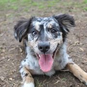 Bagel - Sporty Mix