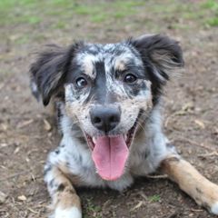 Bagel - Sporty Mix